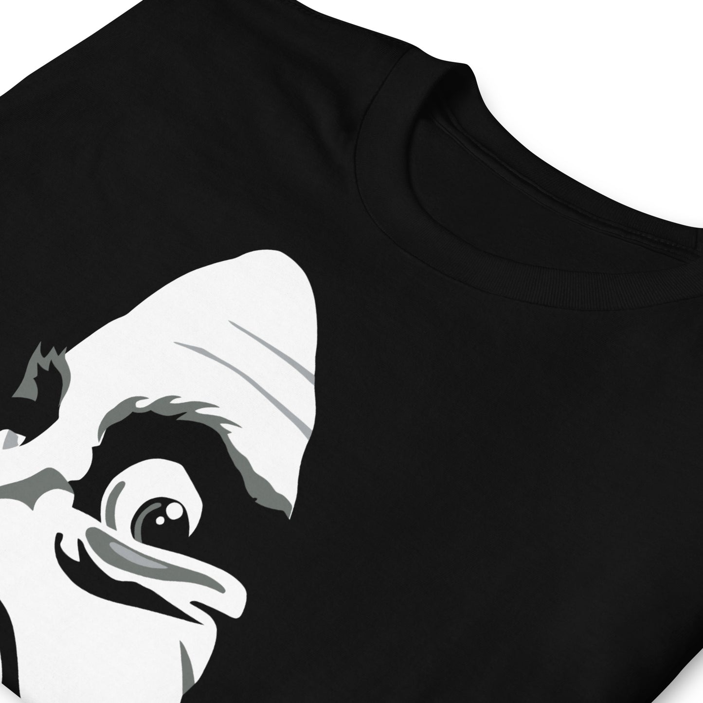 Camiseta Igor
