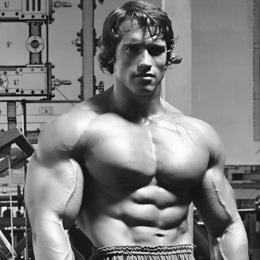 Arnold Schwarzenegge en el gym