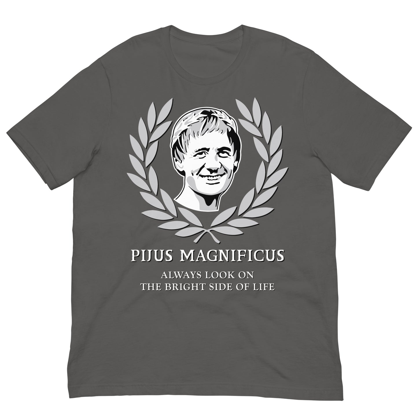 camiseta pijus magnificus la vida de brian gris