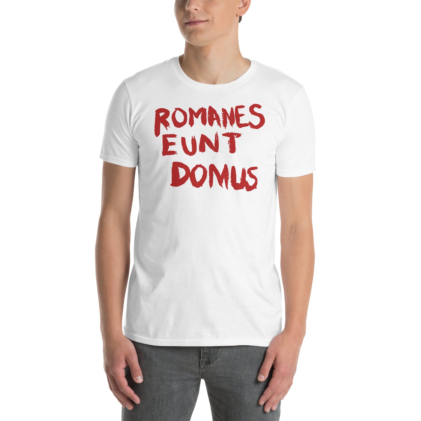 hombre con camiseta romanes eunt domus la vida de brian blanca