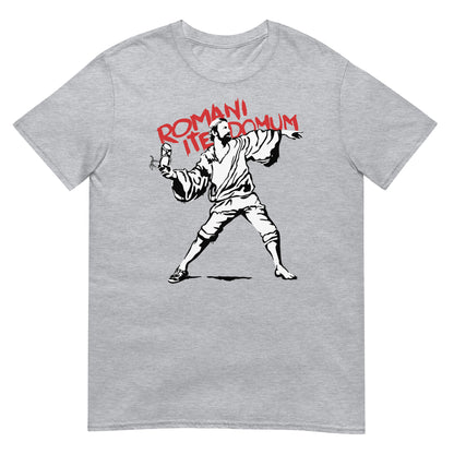 camiseta romani ite domum la vida de brian banksy gris
