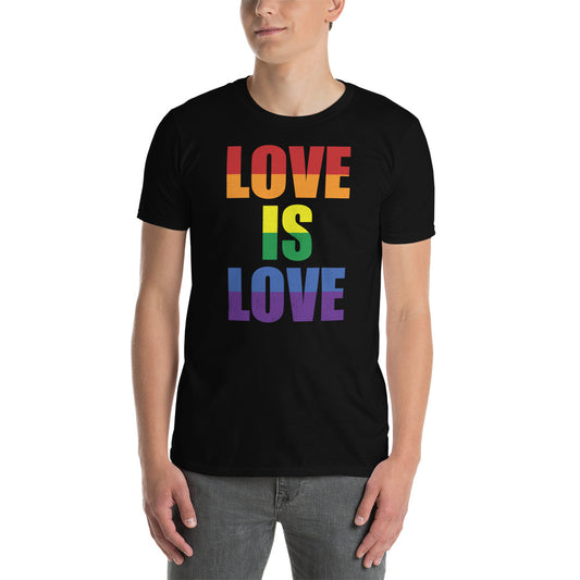 Camiseta Love is Love