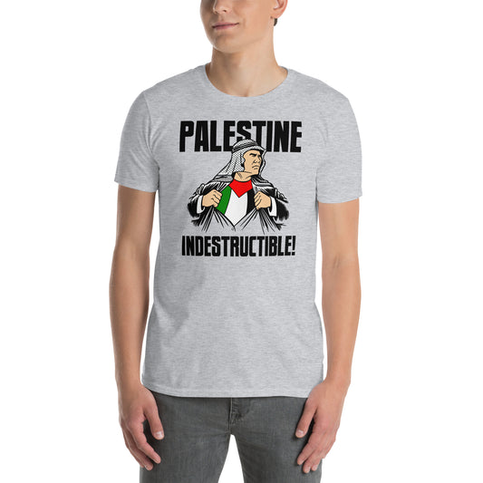 Camiseta Palestina Indestructible. Color gris.
