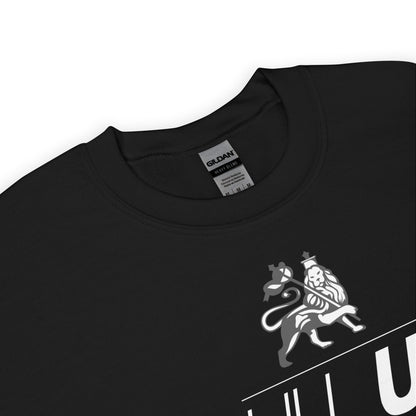 Sudadera Pull Up